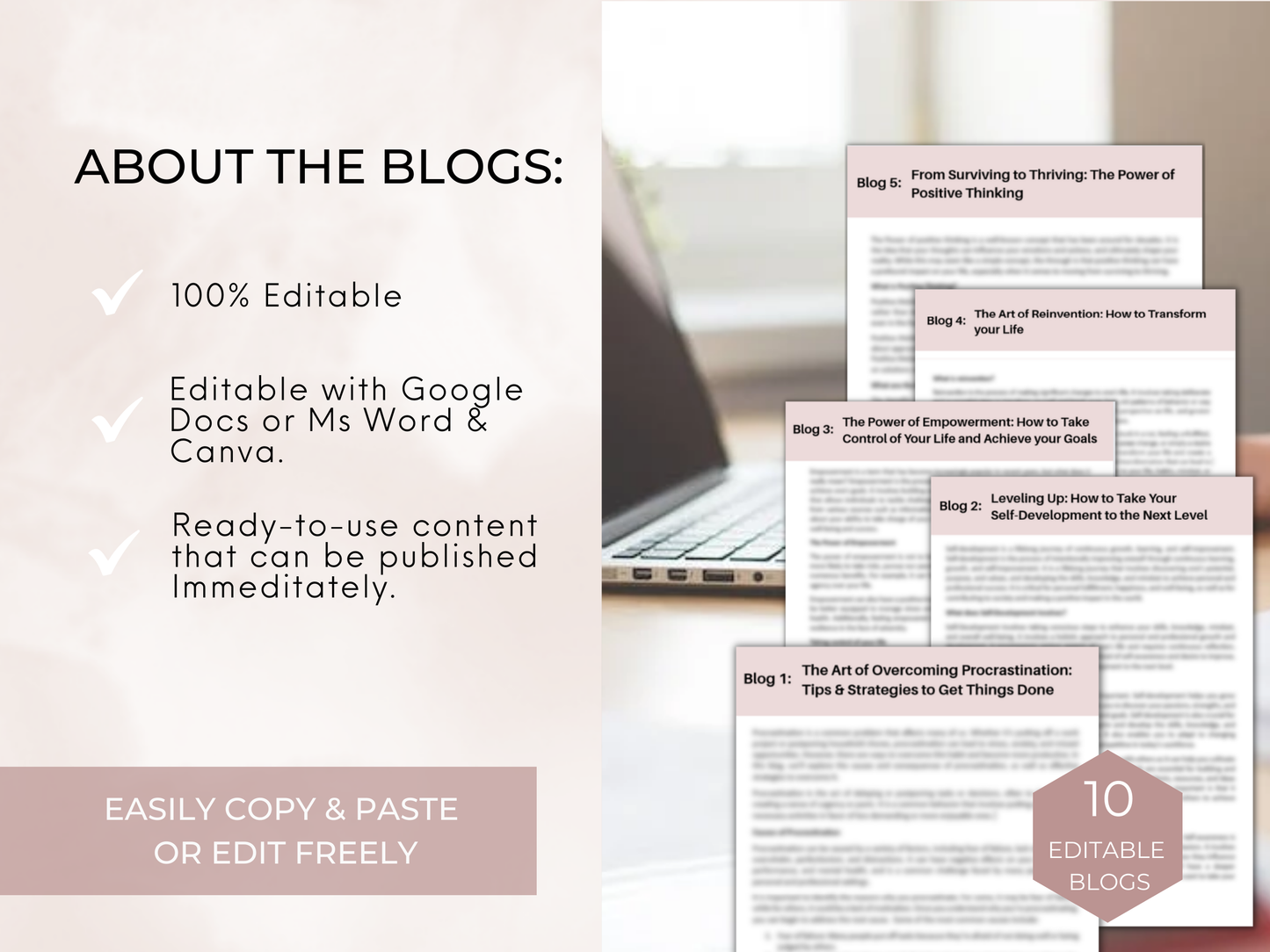 Edition 1 - PLR Blog Posts