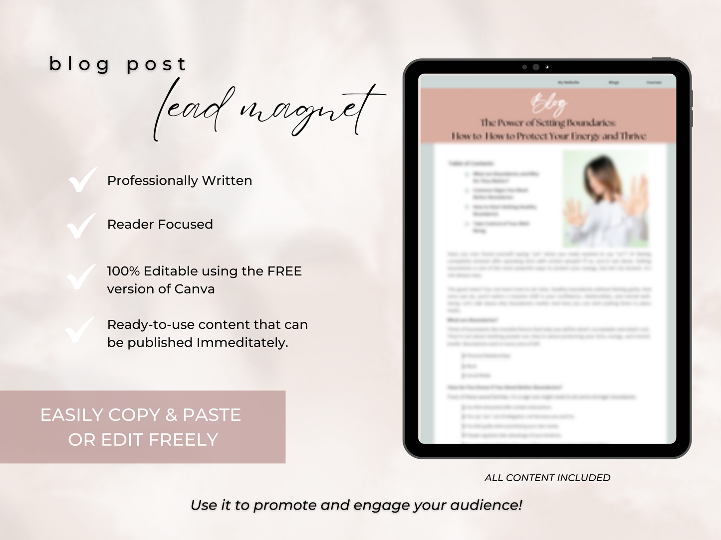 Upgrade Packet Setting Boundaries PLR Course