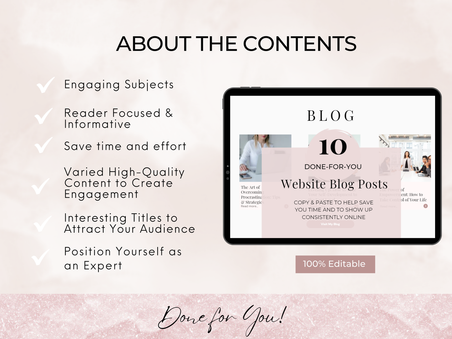 Edition 1 - PLR Blog Posts