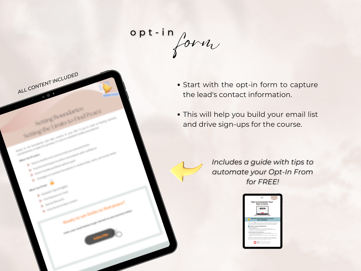 Upgrade Packet Setting Boundaries PLR Course