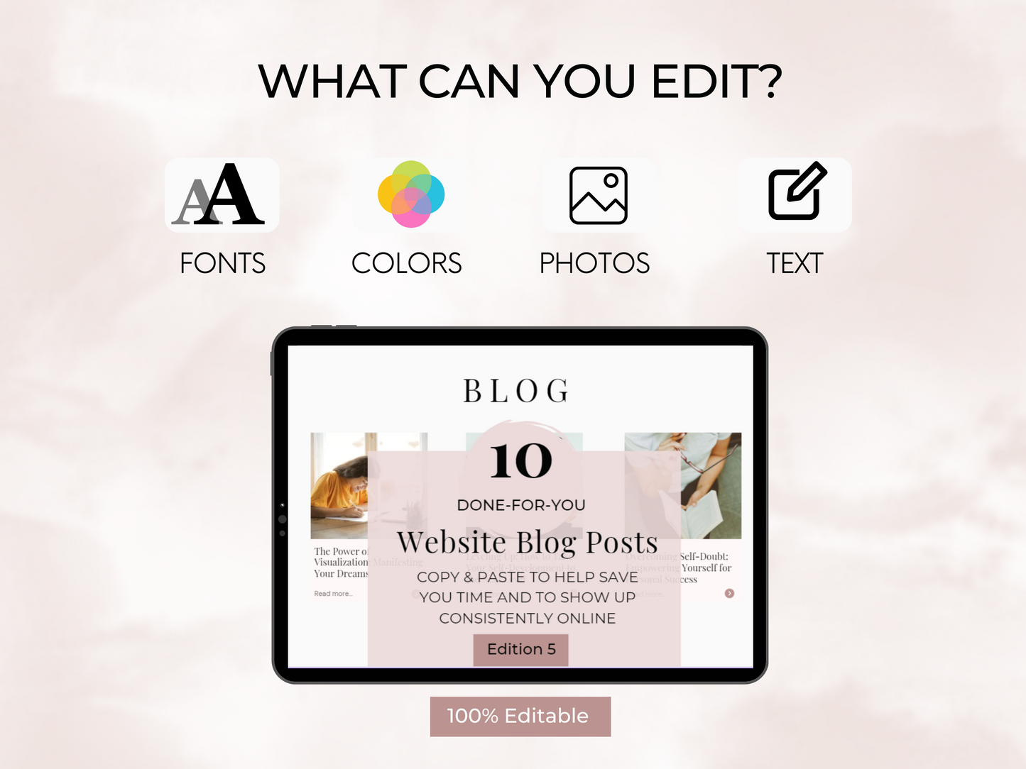 Edition 5 - PLR Blog Posts