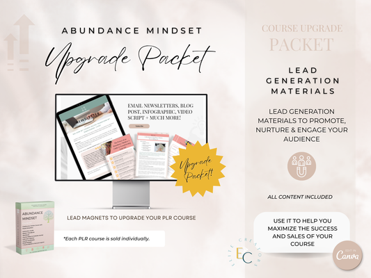 Upgrade Packet Abundance Mindset PLR Course