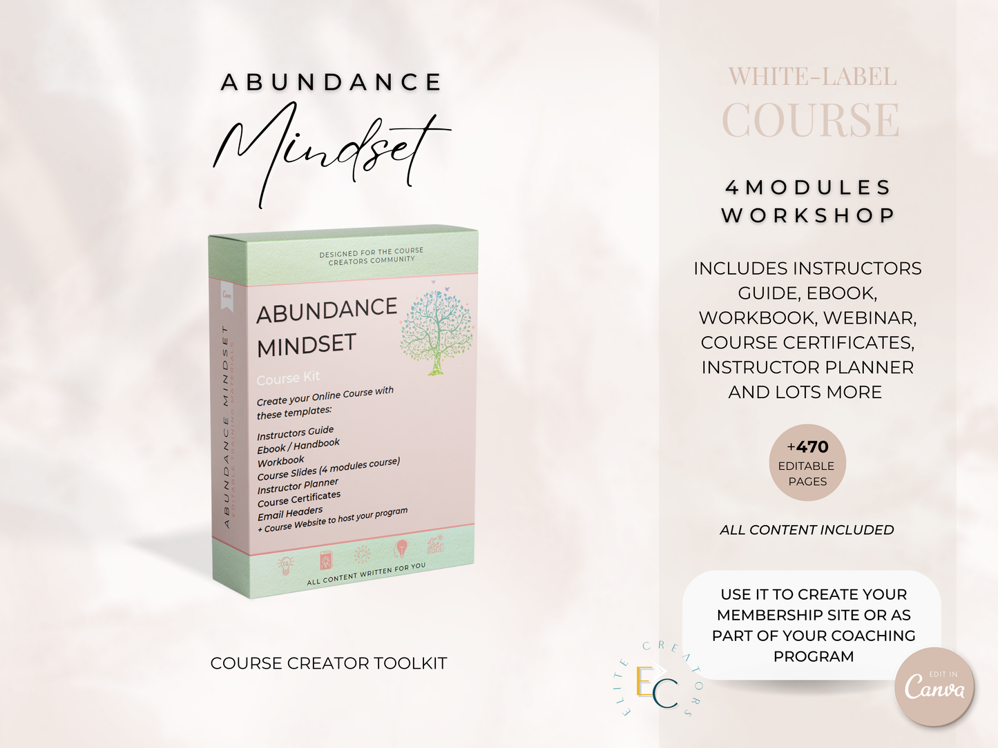 Abundance Mindset PLR Course