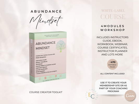 Abundance Mindset PLR Course