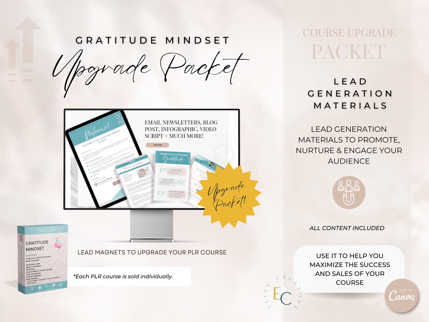 Upgrade Packet Gratitude Mindset PLR Course