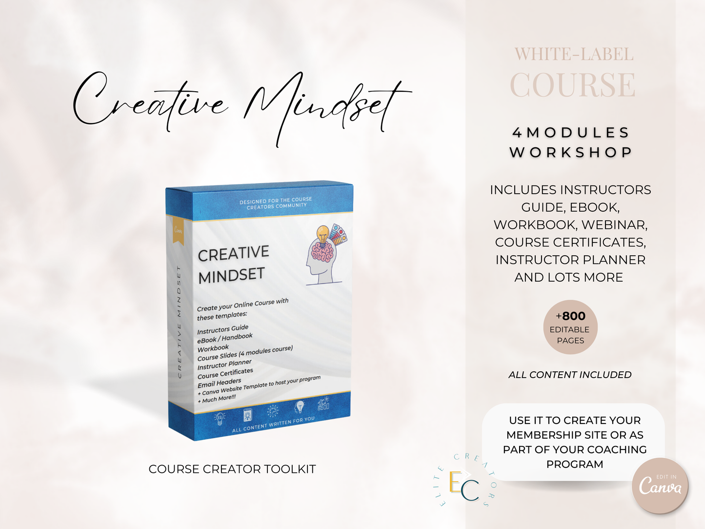 Creative Mindset PLR Course