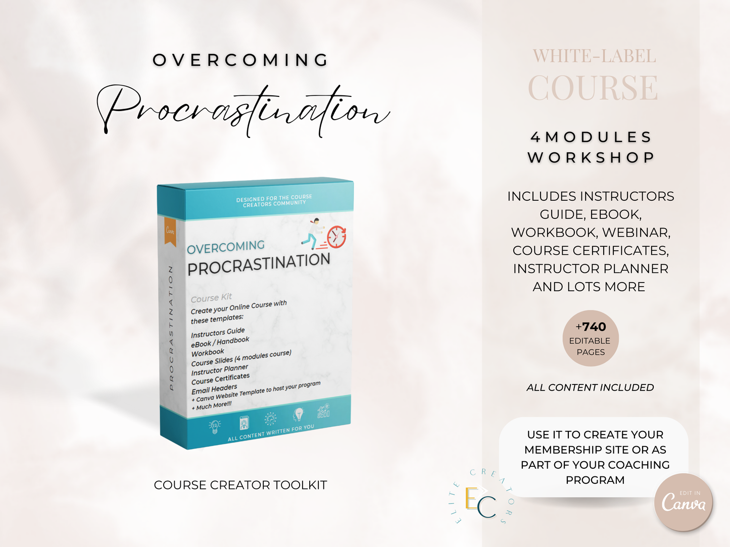 Overcoming Procrastination PLR Course