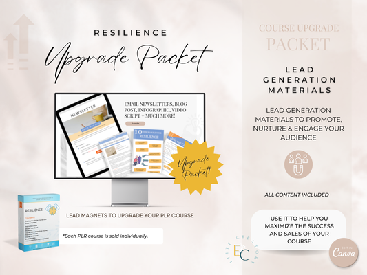 Upgrade Packet Resilience PLR Course