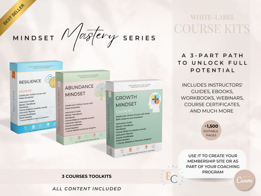 Mindset Mastery Series PLR Courses Bundle