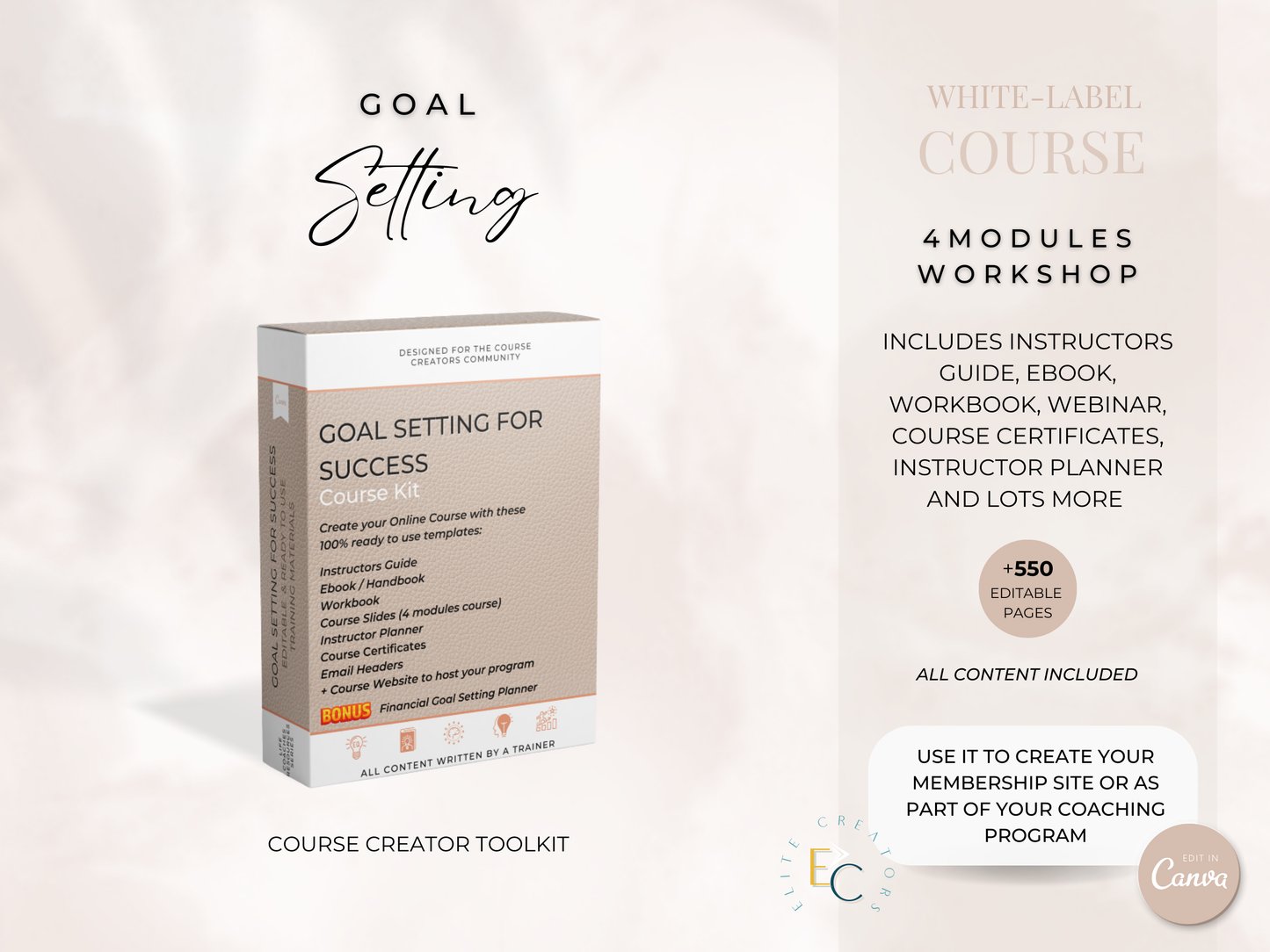 Goal Setting for Success PLR Course