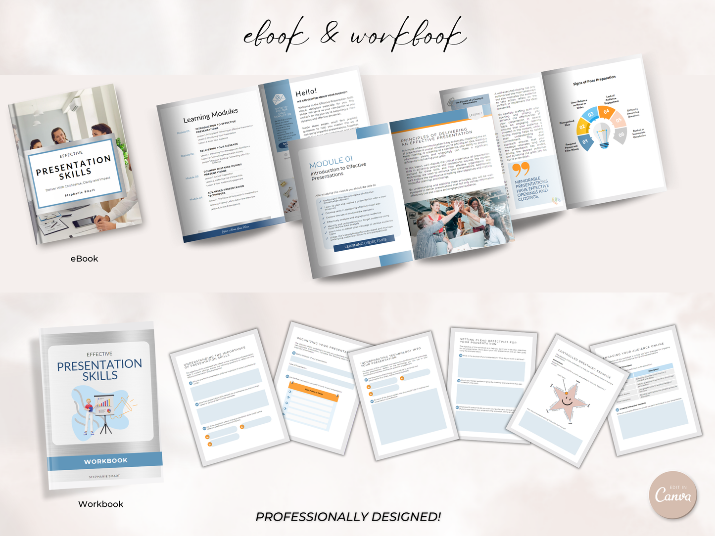 Presentation Skills PLR Course